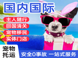 三义机场快递国际宠物托运 【国